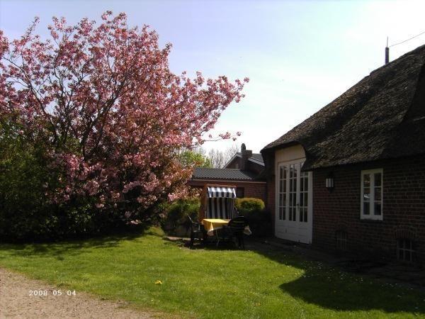 Apartment Hackerhof-mittewohnung Morsum (Sylt)